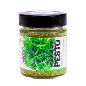 Aquaponické rukolové pesto